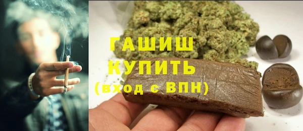 хмурый Новозыбков