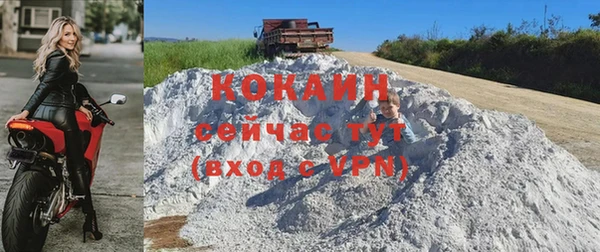 амф Новодвинск