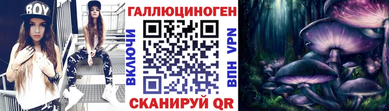 ссылка на мегу зеркало Пенза Псилоцибиновые грибы Psilocybe
