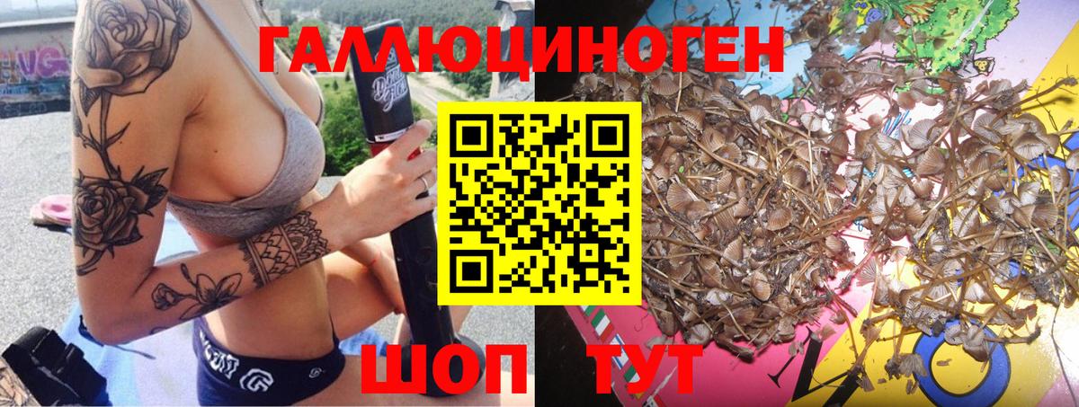 Пенза  Галлюциногенные грибы GOLDEN TEACHER  купить  цена  Вход с VPN 