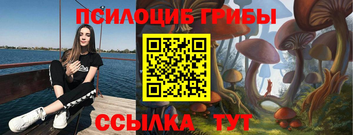 Галлюциногенные грибы GOLDEN TEACHER Пенза